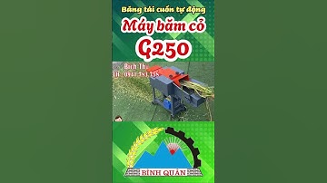 Máy Băm Cỏ G250 Băng Tải Cuốn Tự Động Sử Dụng Động Cơ 3kw Điện 220V
