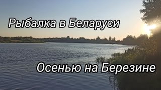 Рыбалка В Беларуси. Осеняя Рыбалка На Реке Березина. Рыбалка На Фидер, Рыбалка 2022