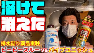 【実験結果ヤバい】ピーピースルーf・パイプユニッシュプロ効果と使い方！髪の毛溶かす？溶ける？溶けない？【台所キッチン排水口・洗面台・トイレ・お風呂・洗濯機】DIY系YouTuber