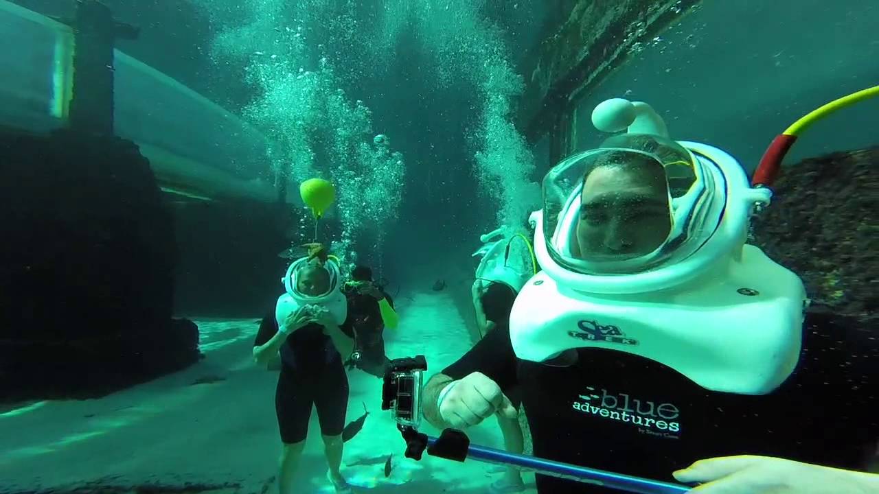 Shark Walk Aquaventure at Atlantis Resort - Paradise Island, Bahamas - YouTube