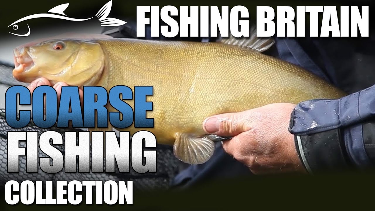 Coarse Fishing Collection Intro YouTube