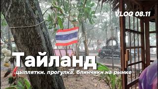ТАЙЛАНД Серия 5 Гуляем по отелю Открываем новый пляж Ужин на рынке 