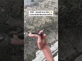 odkaz je v biu