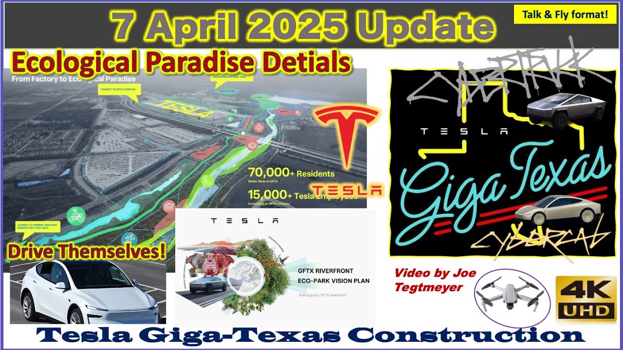 Ecological Paradise & Self Driving New Cars to Outbound Lot! 7