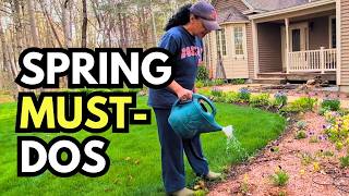 Pruning & Feeding for a Lush Garden (Spring Garden Cleanup)