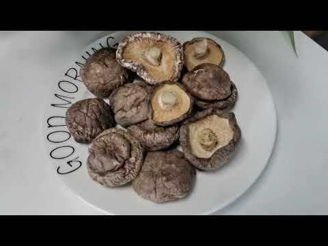 Is Shiitake Mushroom Halal