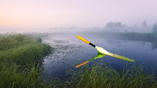 видео: Ловлю у сільському ставку Карася на манку з часником картинка: Ловлю у сільському ставку Карася на манку з часником