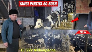 Jamol Fermer Yangi Partiya 50 Bosh Yosh Rossiya Paroda Hunojinlar Keldi