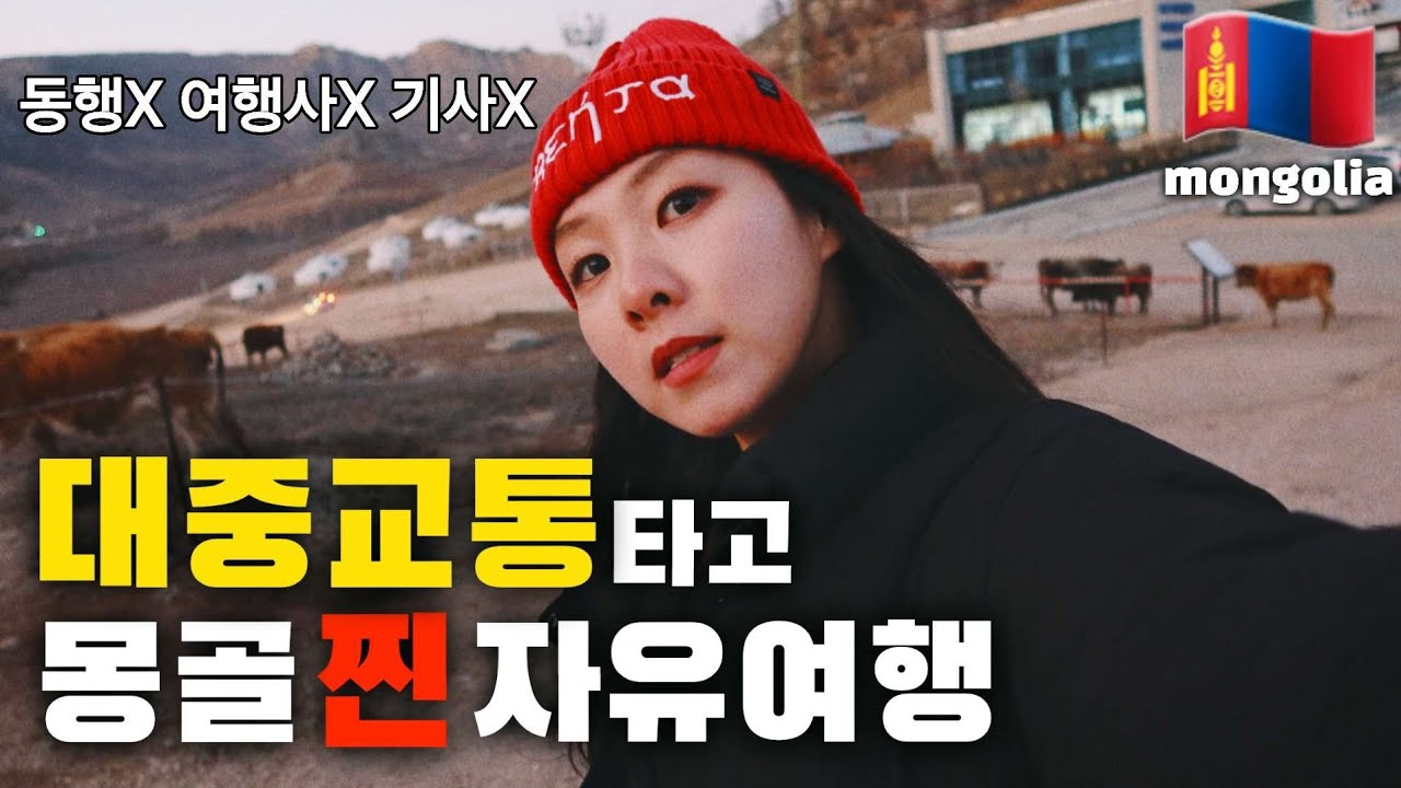 동행X 여행사X 기사X, 배낭 하나 메고 떠난 몽골 '찐' 자유 여행기 [몰아보기]