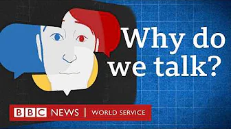 Why are humans the only species that can talk? - BBC World Service