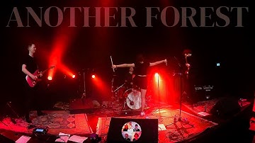 2025 Another Forest - LIVE @ Herberg De Pol