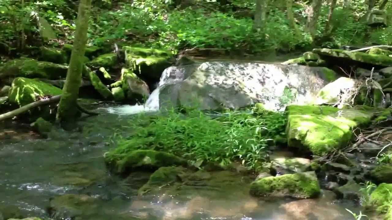 Chandler Mountain, Steele, Alabama YouTube
