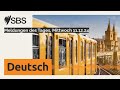 Meldungen Des Tages Mittwoch 11 12 24 SBS German SBS Deutsch