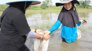 Si Hitam Kembuai Sawah (segmen 1)