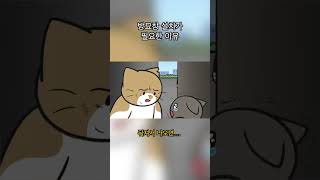 고양이 방묘창이 필수인 이유