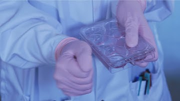 Tapping Technique for Passaging Pluripotent Stem Cells Using ReLeSR™ Selection and Passaging Reagent