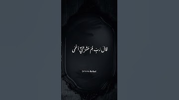 #سورة_طه #اكسبلور #ذكر_الله #القرآن #تلاوة_خاشعة #تلاوة #ذكريات #مؤثر #لايك #القرآن_الكريم