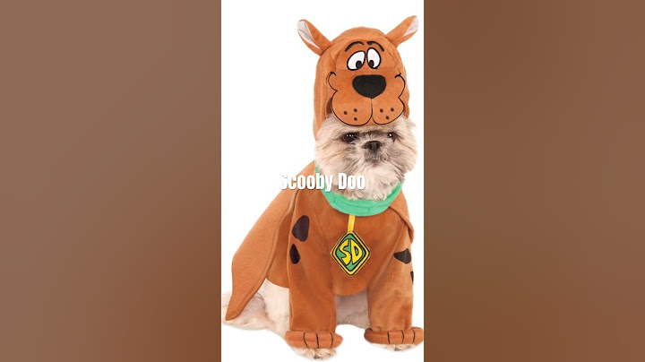 Best Halloween costumes for your dogs 🐶