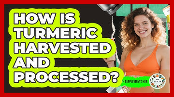 How Is Turmeric Harvested And Processed? - The Health Supplement Hub