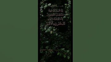 أية يقظان🌞 سورة ابراهيم((٤٢))🕌🤲🕌