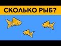 7 ДЕТСКИХ ГОЛОВОЛОМОК, которые НЕ РЕШИТЬ ВЗРОСЛЫМ