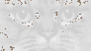 БОЛЬШИЕ КАРТИНКИ: КОТ БОЛЬШИЕ КАРТИНКИ: КОТ