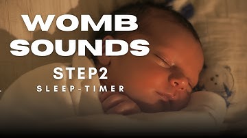 Womb Sounds | STEP 2 | Sleep Timer | Help Your Baby Transition to Sleeping Without Sound