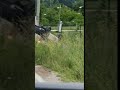 Auto završio na krovu, jedna osoba povrijeđena