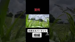 【驚愕】約束のネバーランド畑編 vlog nature trending 自然 家庭菜園 にんにく約束のネバーランド