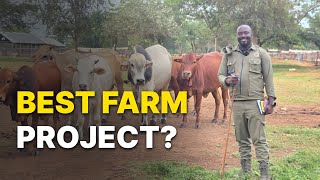 How to Choose the Best Farming Project - Avoid Wasting Time & Money!