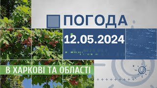Прогноз погоди в Харкові та Харківській області на 12 травня