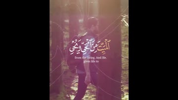📜سورة الروم?القارئ رعد محمد💠ترجمة الإنجلیزی