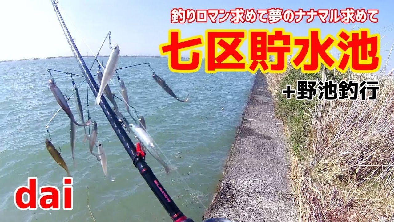【バス釣り】岡山で釣りロマン求めたら七区貯水池は外せないやろ！知らんけど😎 ダイ  +野池釣行 バマストで頑張ってみた！