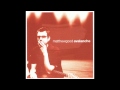 Matthew Good - Near Fantastica