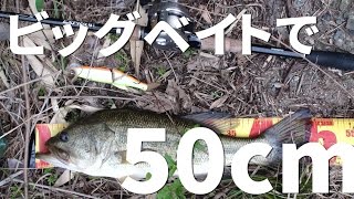 むねおの釣ったバスで東京タワー　＃2
