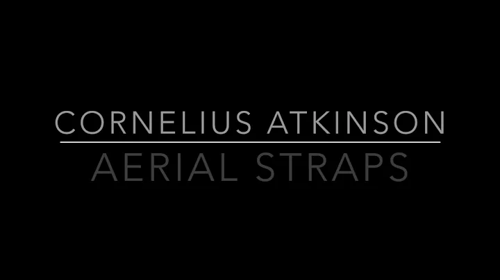 Cornelius Atkinson: Aerial Straps 2016