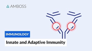 Innate and Adaptive Immunity: Types of Immune Responses (Full version)
