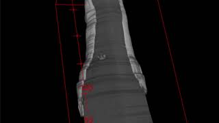 Showcase: X-ray app - creating 3D objects from pictures screenshot 2