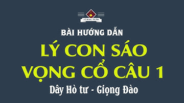 Bài hướng dẫn: LÝ CON SÁO - VỌNG CỔ CÂU 1 (Dây Hò tư - Giọng Đào) | Cổ Nhạc Tri Âm
