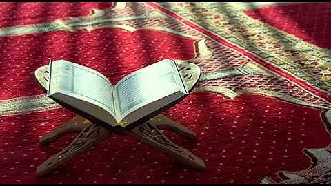 سورة الفجر || روائع ماجد الزامل