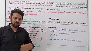 McLeod, O Avery and McCarty | Experiment | FBISE  | Transformation Agent | NBF | Class 11