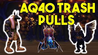 AQ40 Trash Pulls Guide Hunter POV - Temple of Ahn’Qiraj Classic WoW