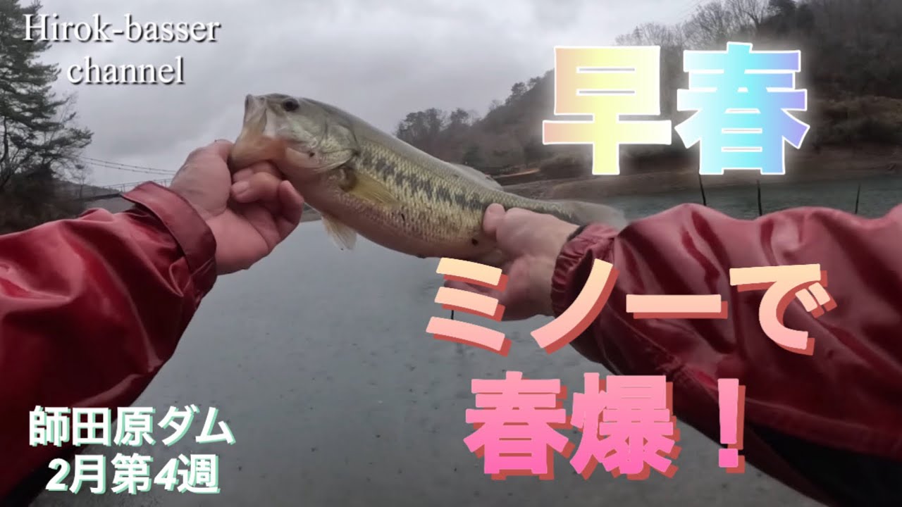早春 ミノーで春爆！