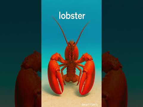 Ever heard of a βtiger sharkβ? π¦ Letβs learn more sea animals! #shorts