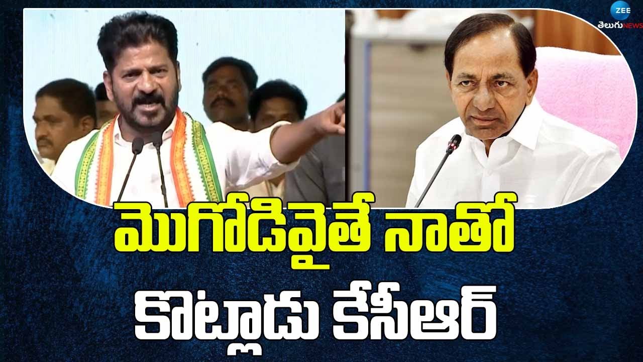 CM Revanth Reddy Slams KCR in Narayanpet Sabha | మొగోడివైతే నాతో కొట్లాడు కేసీఆర్ | ZEE News Telugu