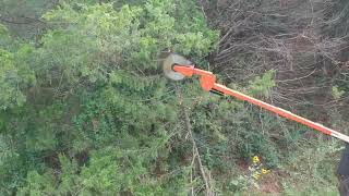 LimbSaw LSC Circular Saw In Action – Clear Fence Lines Fast!