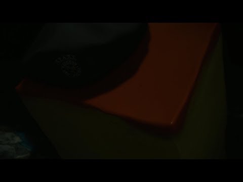 Resident Evil 2  Flan