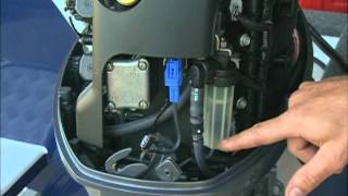 Yamaha Outboard maintenance - Filters, Fuel, and keeping you on the water longer!