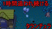 どうぶつの森e 超レアなひばいひん家具をあいことばを使って簡単に入手する方法 Part6 Youtube
