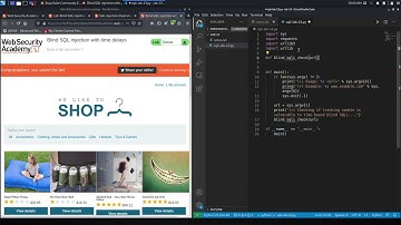14 Lab #13 Blind SQL injection with time delays
